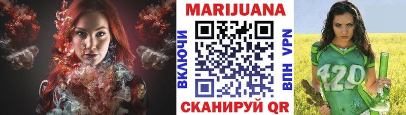 МАРИХУАНА план  продажа наркотиков  Лермонтов 